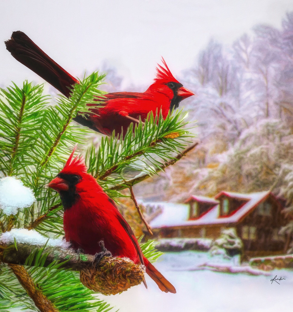 Here's What It Means When You See A Red Cardinal During Christmas Time