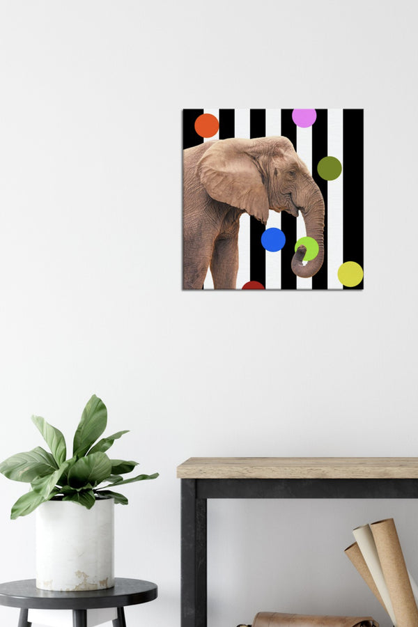 "Welcome to the Juggle" Fine Art Photography Canvas Print